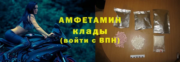 ГАЛЛЮЦИНОГЕННЫЕ ГРИБЫ Инсар