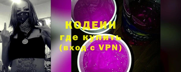 ГАЛЛЮЦИНОГЕННЫЕ ГРИБЫ Инсар