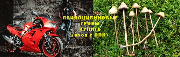 марки nbome Зерноград