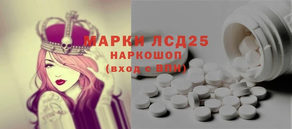 ГАЛЛЮЦИНОГЕННЫЕ ГРИБЫ Инсар