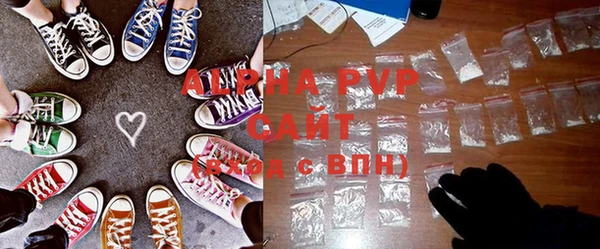 ГАЛЛЮЦИНОГЕННЫЕ ГРИБЫ Инсар