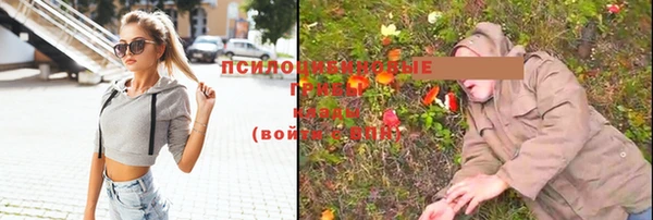 ГАЛЛЮЦИНОГЕННЫЕ ГРИБЫ Инсар